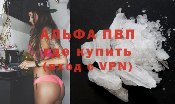ПСИЛОЦИБИНОВЫЕ ГРИБЫ Каменногорск
