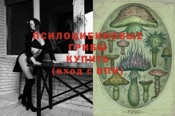 ПСИЛОЦИБИНОВЫЕ ГРИБЫ Каменногорск
