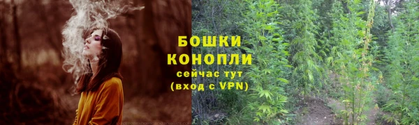 ПСИЛОЦИБИНОВЫЕ ГРИБЫ Каменногорск
