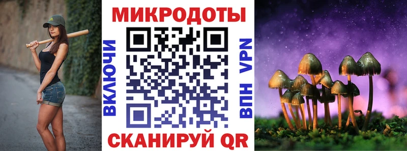 Купить  Киселёвск  Псилоцибиновые грибы MAGIC MUSHROOMS 
